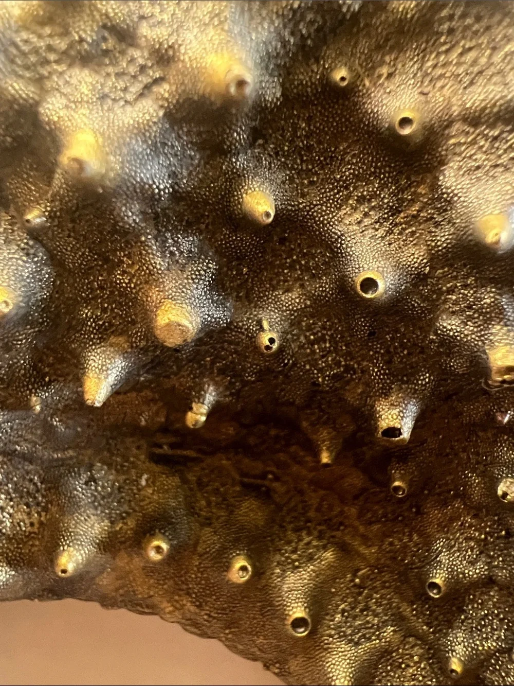 Vintage Gold Starfish Wall Decor Hanging Sculpture Large 3D Coastal Accent